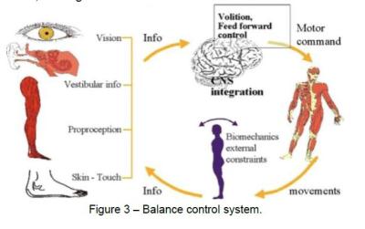sensory input