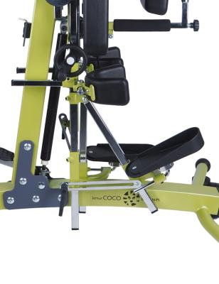 Flexion in the lower legs