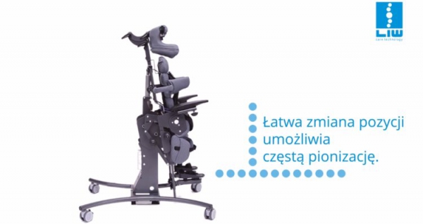 Pionizacja