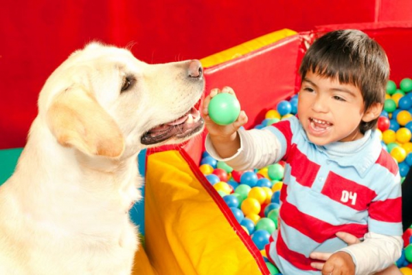 Dogoterapia
